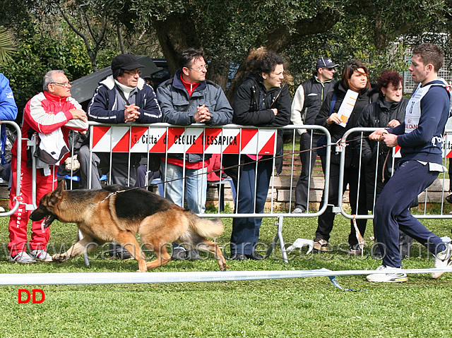 hugo-dell-alto-pino.jpg - Classe Giovanissimi maschi Hugo dell'Alto Pino