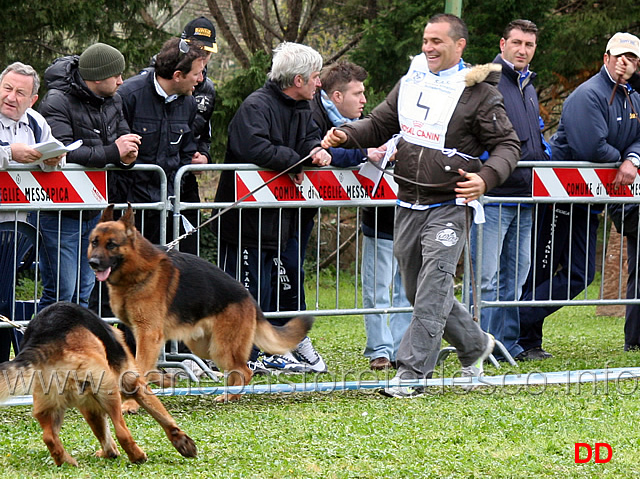 indio-degli-iapigi.jpg - Classe Lavoro maschi Indio degli Iapigi