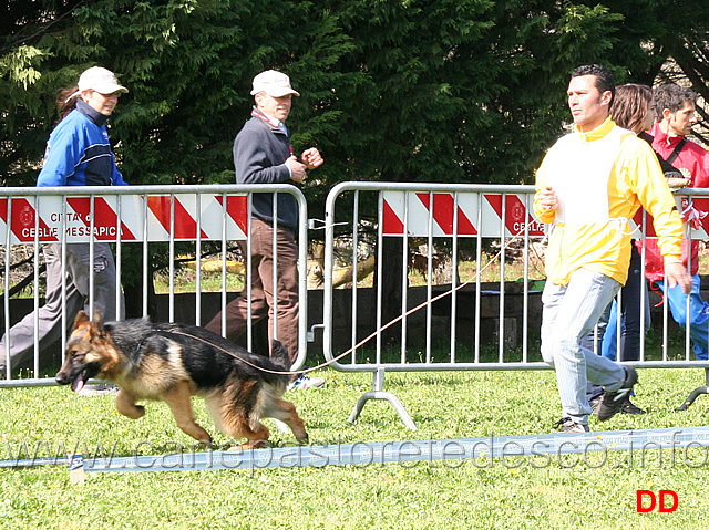 ira-di-camporeale.jpg - Classe Juniores femmine Ira di Camporeale