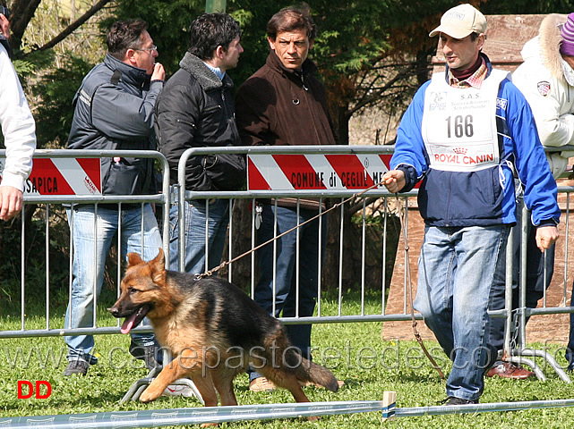 leska-della-villa-dei-cedri.jpg - Classe Juniores femmine Leska della Villa dei Cedri