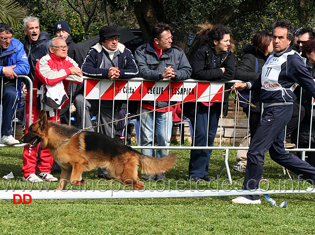 lux-dei-lotito.jpg - Classe Giovanissimi maschi Lux dei Lotito