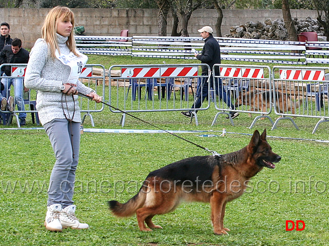 martina-anastasi-con-raika-terrae-lupiae-02.jpg - Martina Anastasi con Raika Terrae Lupiae