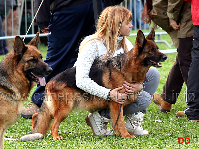 martina-anastasi-con-raika-terrae-lupiae.jpg - Martina Anastasi con Raika Terrae Lupiae