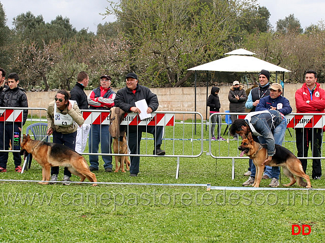 partenza-giovani-femmine-05.jpg - Partenza classe Giovani femmine