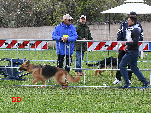 penni-degli-iapigi.jpg - Lavoro femmine Penni degli Iapigi