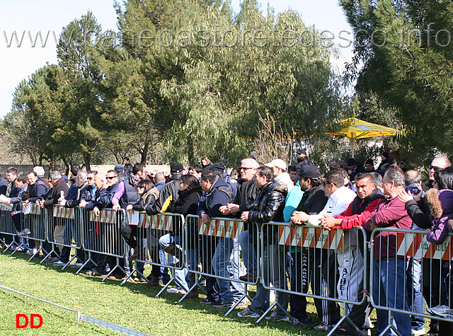 pubblico.jpg - Il pubblico al raduno di Brindisi