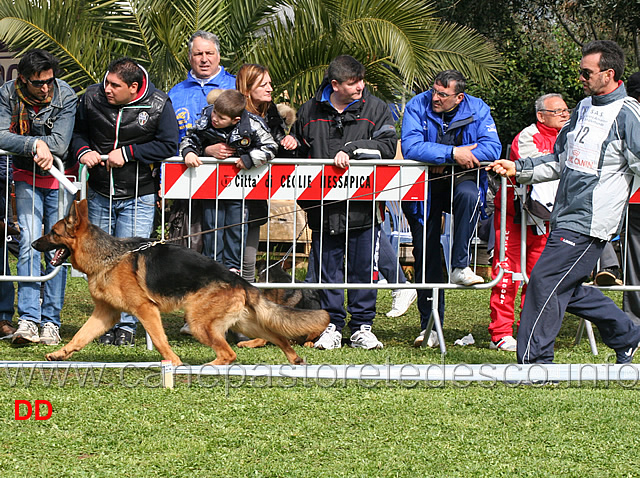 quantum-delori.jpg - Classe Giovanissimi maschi Quantum Delori