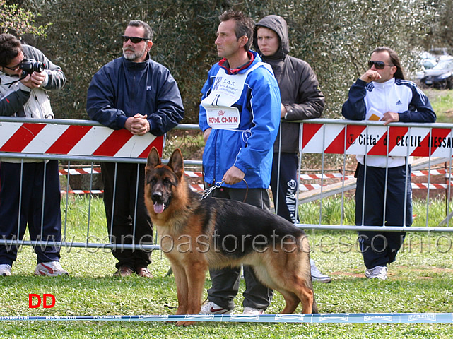 ulivo-del-rione-antico.jpg - Classe Giovanissimi maschi Ulivo del Rione Antico