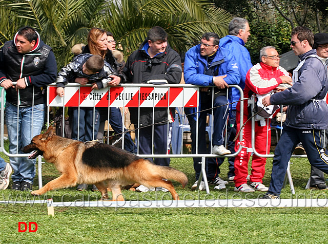 unique-del-rione-antico.jpg - Classe Giovanissimi maschi Unique del Rione Antico