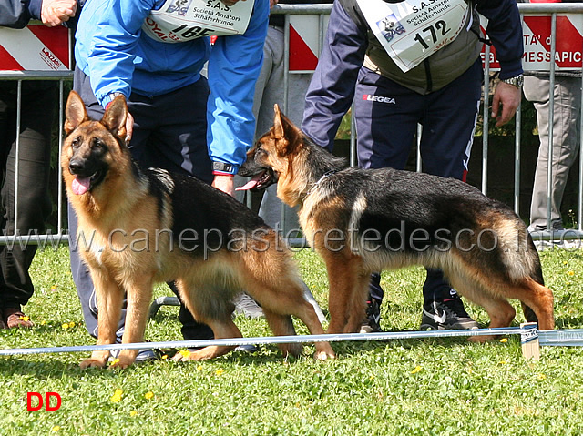 vera-di-ca-de-pace-e-desy-team-gualdi.jpg - Vera di Ca' de' Pace 5 MP e Desy Team Gualdi 6 MP Juniores femmine