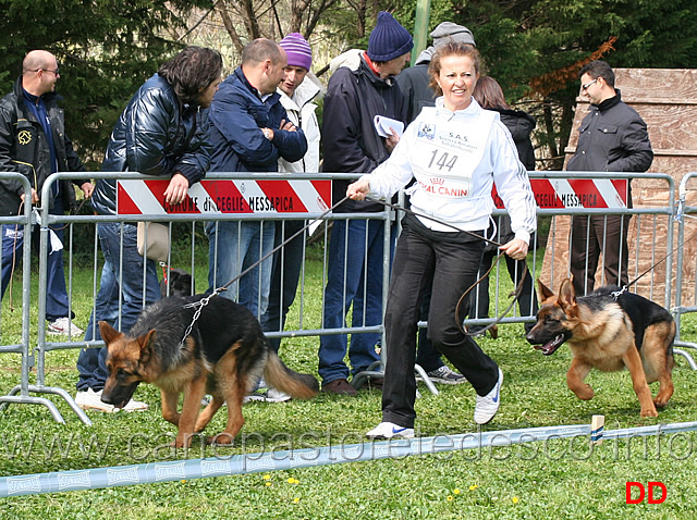 zeus-di-ca-de-pace.jpg - Classe Juniores maschi Zeus di Ca' de' Pace