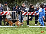 fina-dell-alto-pino-passa-in-prima-posizione