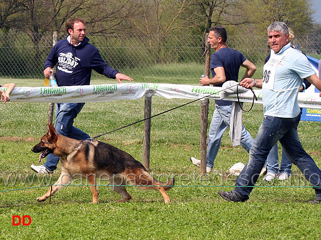 alma-dei-colli-storici.jpg - Giovanissime femmine Alma dei Colli Storici