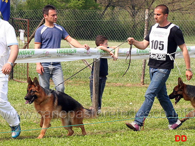 bella-della-gens-pontina.jpg - Giovanissime femmine Bella della Gens Pontina