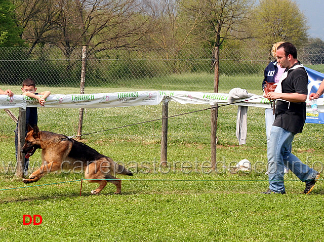 beta-di-camporeale.jpg - Giovanissime femmine Beta di Camporeale