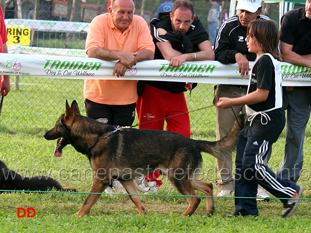 bleck-condotto-da-raffaele-bracaglio.jpg - Lavoro maschi Beck