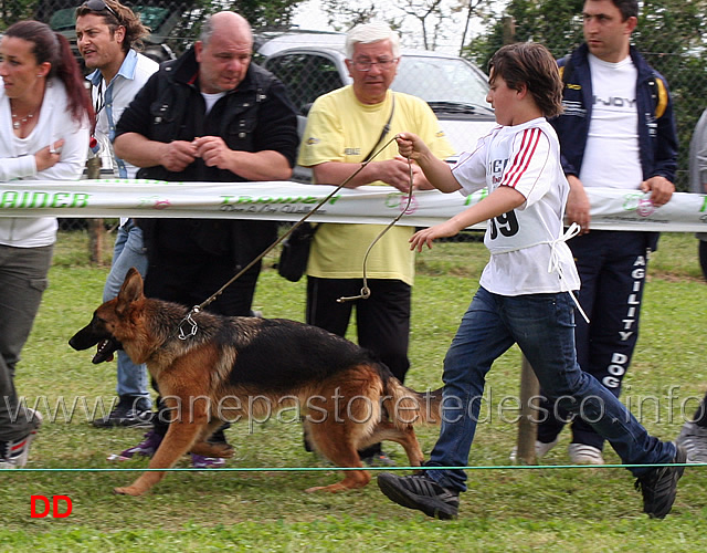 emanuele-capitanio-con-akita-dell-isolotto.jpg - Emanuele Capitanio con Akita dell'Isolotto