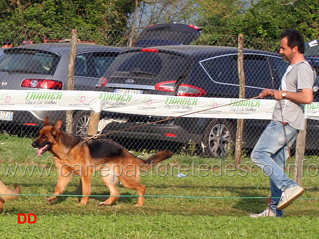 furba-degli-arvali.jpg - Lavoro femmine Furba degli Arvali