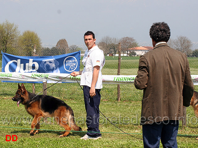 il-giudice-d-alvano-sposta-indio-di-casa-nobili-al-primo-posto.jpg - Il giudice Michele D'Alvano sposta Indio di Casa Nobili in prima posizione