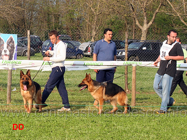 isi-tunibergerland-e-mindy-di-casa-adamo.jpg - Lavoro femmine Isi Tunibergerland e Mindy di Casa Adamo