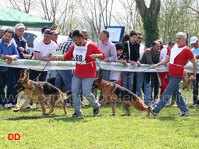 kayus-blackhof.jpg - Giovanissimi maschi Kayus Blackhof