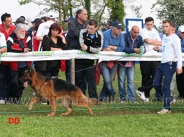 ken-dei-monti-della-laga-02.jpg - Lavoro maschi  Ken dei Monti della Laga