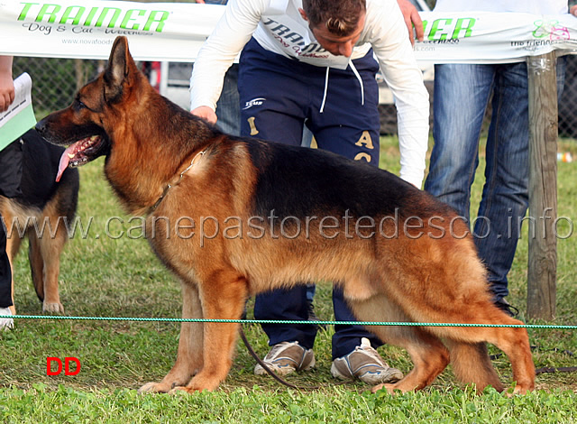 ken-dei-monti-della-laga-06.jpg - Ken dei Monti della Laga  1 Eccellente Lavoro maschi