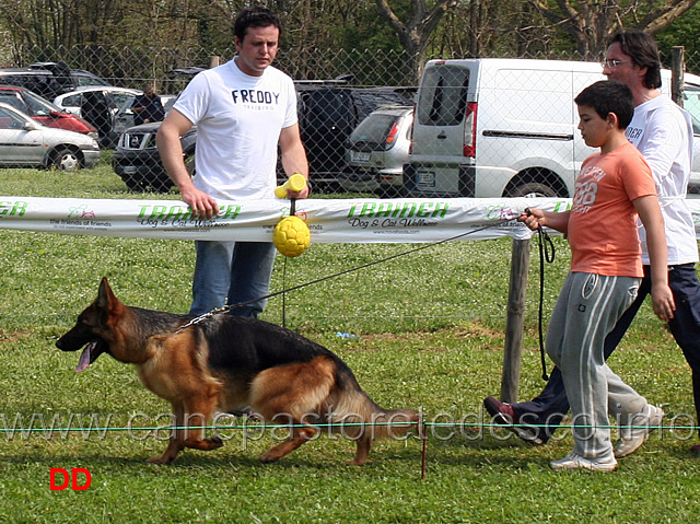 sally-catacium-05.jpg - I giovani conduttori sfilano con le cucciolone. Sally di Catacium