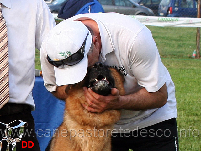 saverio-adamo-con-mindy-di-casa-adamo-02.jpg - Saverio Adamo con Mindy di Casa Adamo