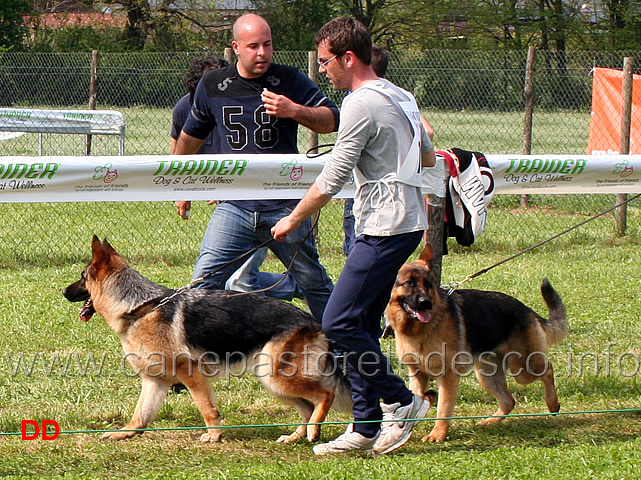 terry-del-rione-antico-e-giada-di-val-calore.jpg - Giovanissime femmine Terry del Rione Antico e Giada di Val Calore