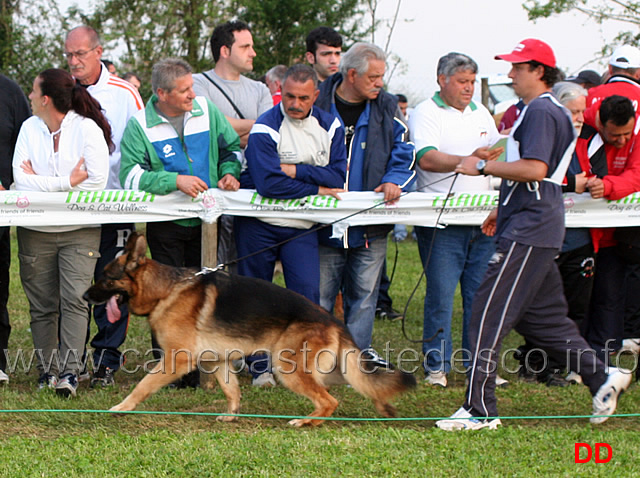 tino-degli-achei.jpg - Lavoro maschi Tino degli Achei