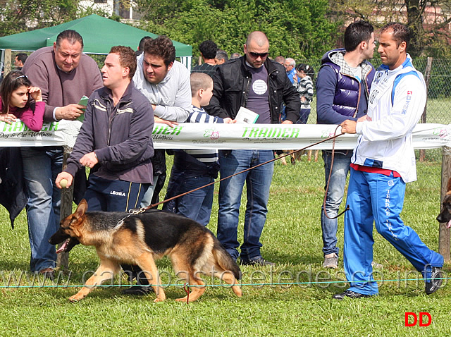 uno-degli-iapigi-02.jpg - Uno degli Iapigi 6 MP Juniores maschi