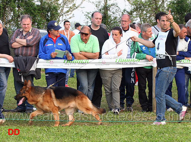 uwo-dell-alto-pino.jpg - Lavoro maschi  Uwo dell'Alto Pino