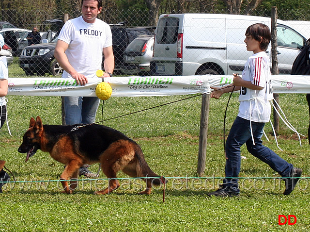 vega-del-rione-antico-05.jpg - I giovani conduttori sfilano con le cucciolone. Vega del Rione Antico