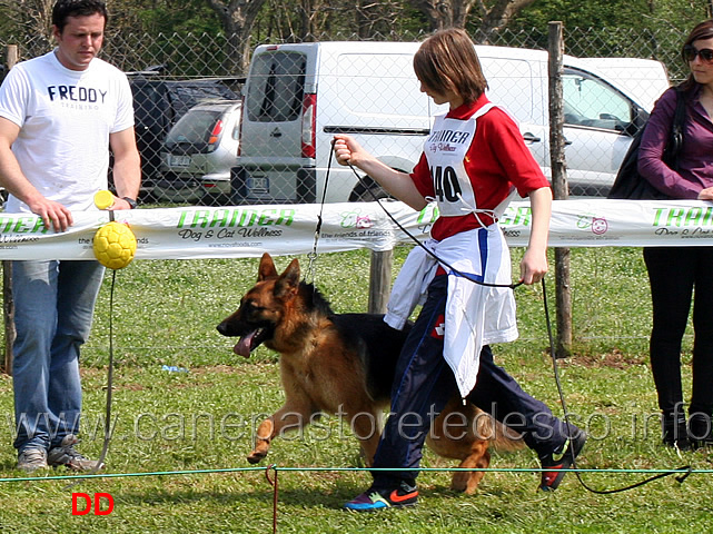 verga-del-rione-antico-04.jpg - I giovani conduttori sfilano con le cucciolone. Verga del Rione Antico