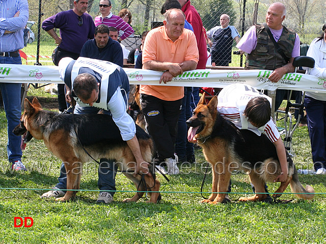 zaiko-degli-osci-e-bax-del-pobur.jpg - Zaiko degli Osci e Bax del Pobur