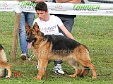 gianluca-petriccione-con-brenda