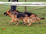 roxy-di-casa-appula-e-syria-dell-alto-ofanto