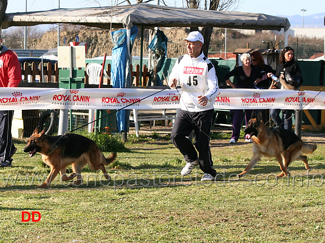 ada-della-valle-del-seveso-e-gerry-val-ira.jpg - Giovani femmine Ada della Valle del Seveso e  Gerry Val Ira