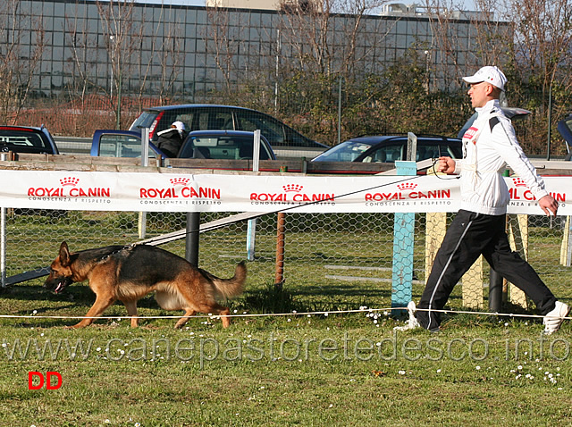 ada-della-valle-del-seveso.jpg - Giovani femmine Ada della Valle del Seveso