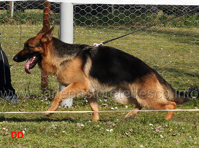 alice-goldenen-strand.jpg - Giovanissime femmine Alice goldenen Strand