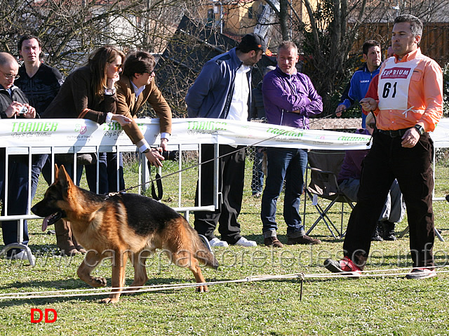 artu-degli-achei-02.jpg - Giovanissimi maschi. Artù degli Achei