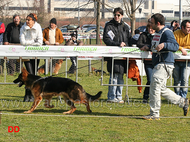 axil-antico-maniero.jpg - Juniores maschi Axil dell'Antico Maniero