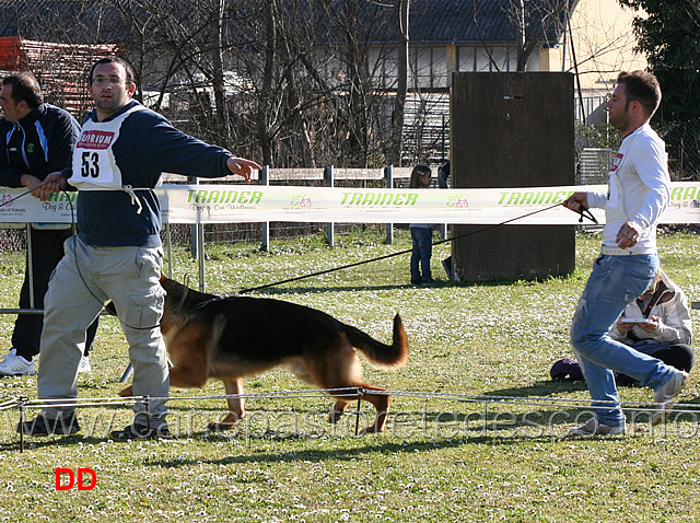 bosl-del-frutteto-02.jpg - Giovanissimi maschi. Bosl del Frutteto