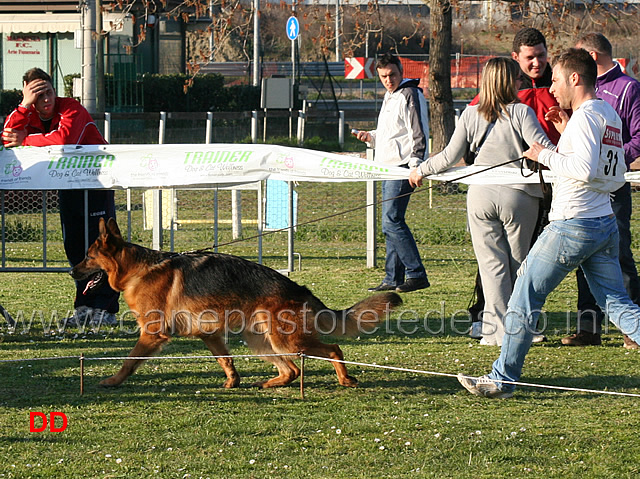 edu-degli-arvali.jpg - Giovani maschi Edù degli Arvali