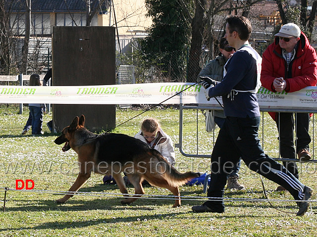 golia-di-ripoli-02.jpg - Giovanissimi maschi.Golia di Ripoli