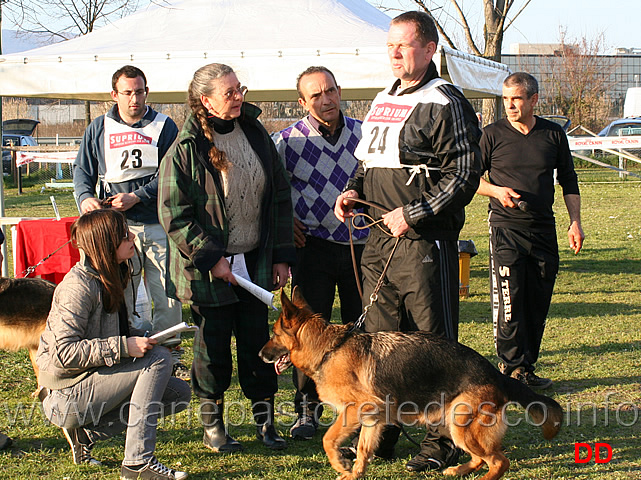 gruppi-di-mitici-sas-sv.jpg - Un po' di storia SV e SAS in ring