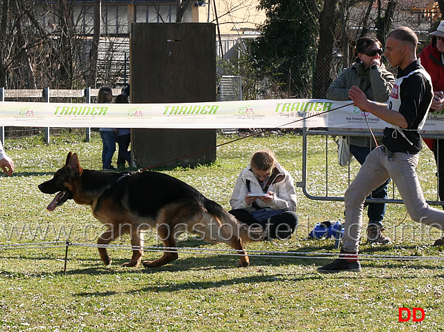 nico-di-casa-farina-02.jpg - Giovanissimi maschi.Nico di Casa Farina