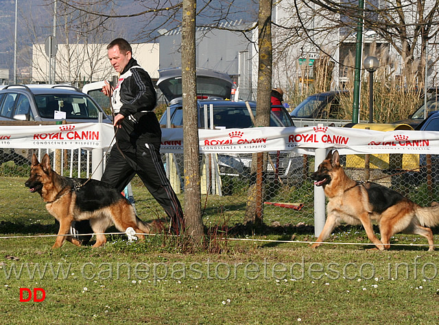 pink-von-der-baiertalerstrasse-e-gerry-val-ira.jpg - Giovani femmine Pink von der Baiertalerstrasse e Gerry Val Ira