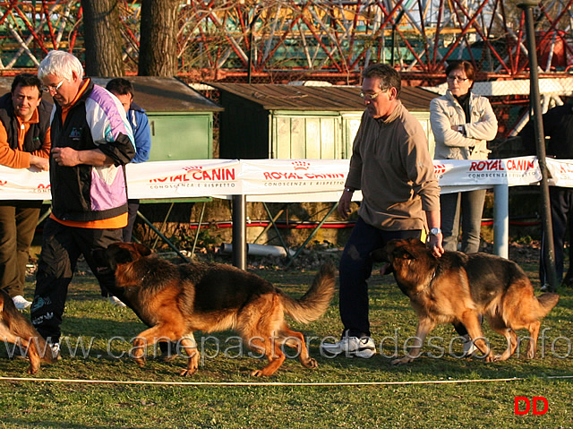 quana-di-casa-beggiato-e-birra-lucky-animals-al-fuss.jpg - Adulte femmine Quana di Casa Beggiato e Birra Lucky Animals